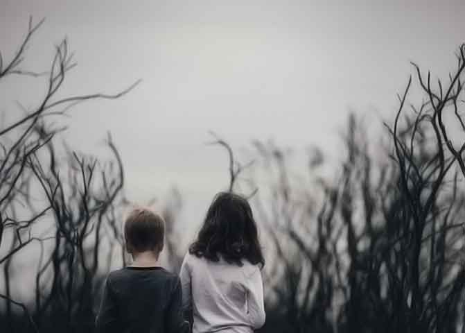 【MAC苹果电脑】完美适配的器测压文章